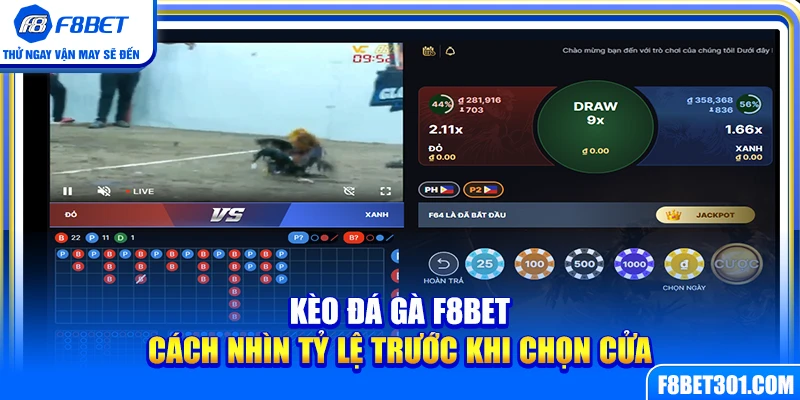 Kèo Đá Gà F8BET – Cách Nhìn Tỷ Lệ Trước Khi Chọn Cửa