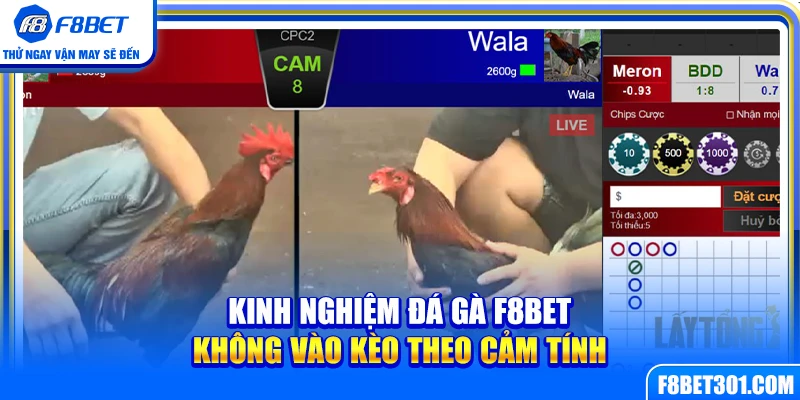 Kinh Nghiệm Đá Gà F8BET Không Vào Kèo Theo Cảm Tính