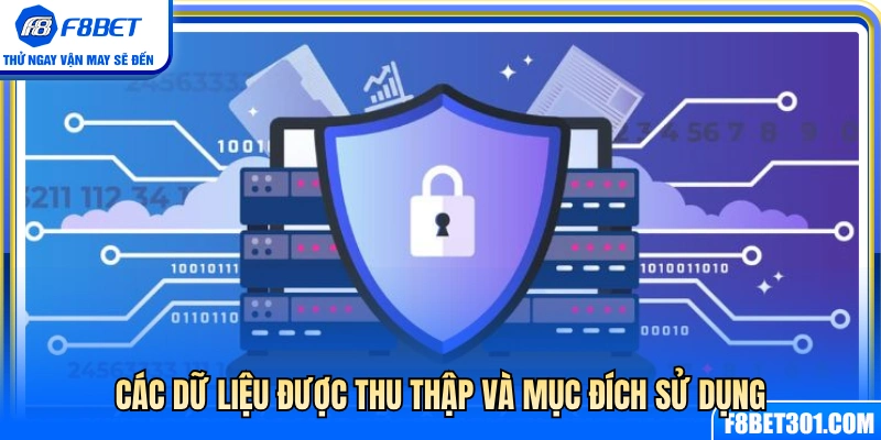 Chính Sách Bảo Mật F8BET 2 Các dữ liệu được thu thập và những lý do sử dụng