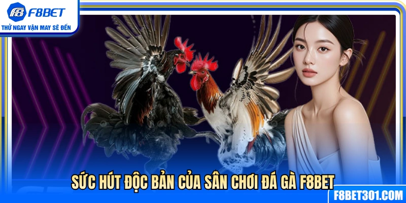 Đá Gà F8BET 1 Điểm khác biệt tạo nên thương hiệu đá gà F8BET