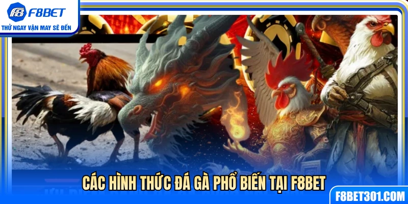 Đá Gà F8BET 2 Điểm danh các loại hình cá cược đá gà