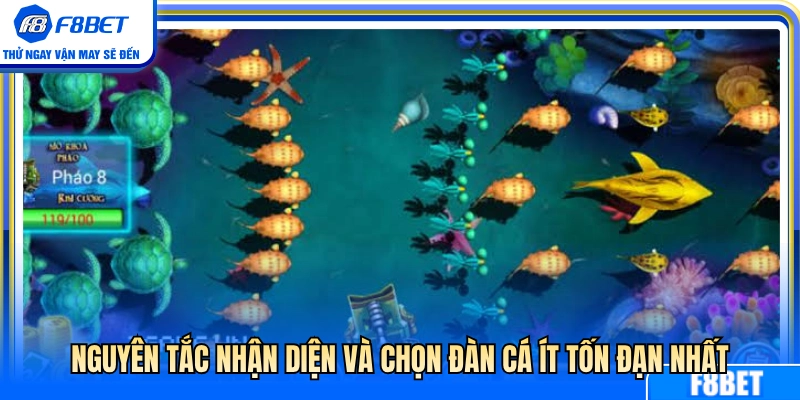 Bí quyết nhận biết bầy cá bơi chậm tốn ít hỏa lực nhất 