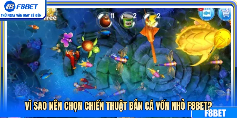 Lý do nên áp dụng cách bắn cá vốn nhỏ F8BET 