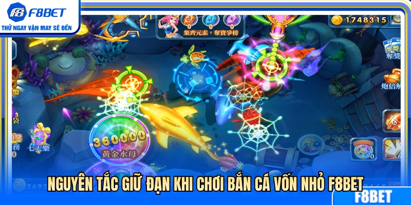 Quy tắc bảo toàn đạn khi săn cá ít vốn