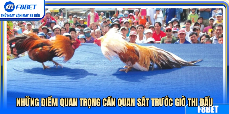 Các chi tiết quan trọng nên theo dõi trước giờ đấu 