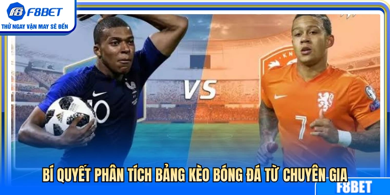 Kinh nghiệm soi tỷ lệ bóng đá từ cao thủ lâu năm 