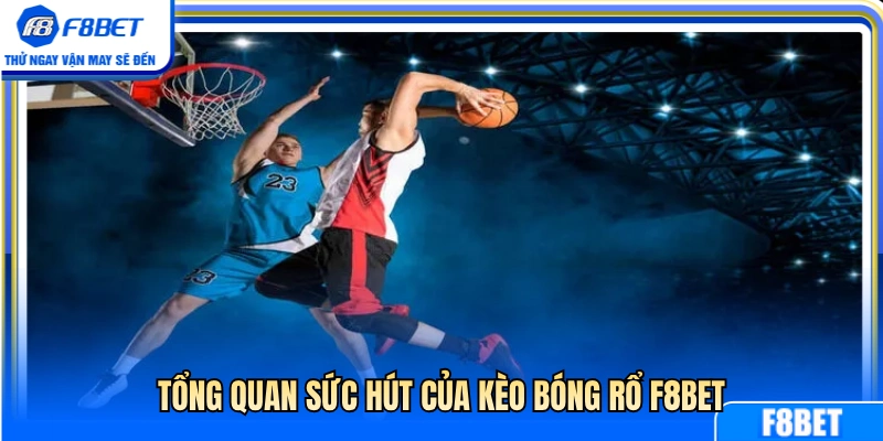 Khám phá sức hút từ kèo bóng rổ F8BET 
