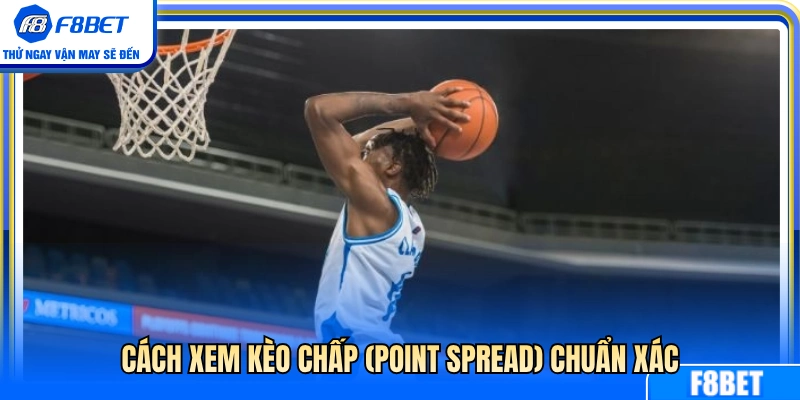 Mẹo xem tỷ lệ chấp (Point Spread) chính xác 