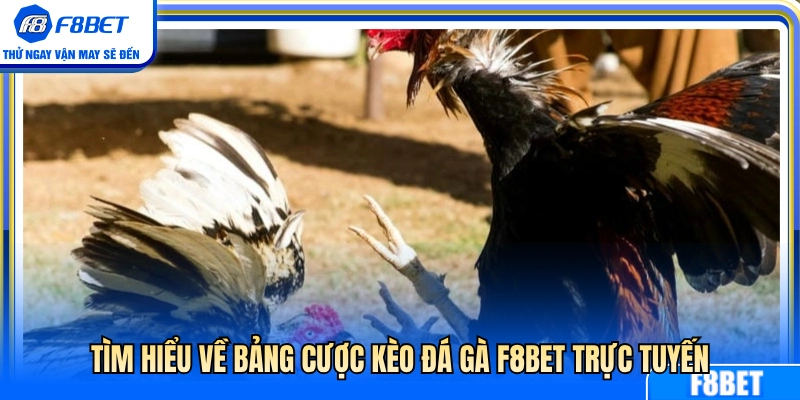 Khái quát bảng tỷ lệ cược đá gà F8 BET online 