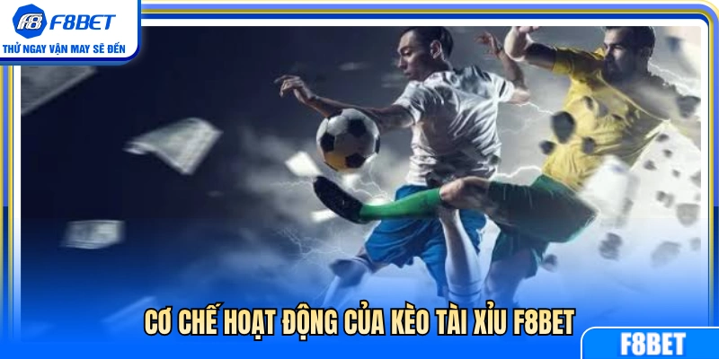 Nguyên lý vận hành kèo tài xỉu F8BET 