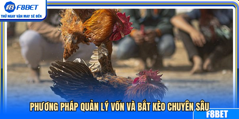 Bí quyết điều phối dòng vốn và kỹ năng bắt kèo