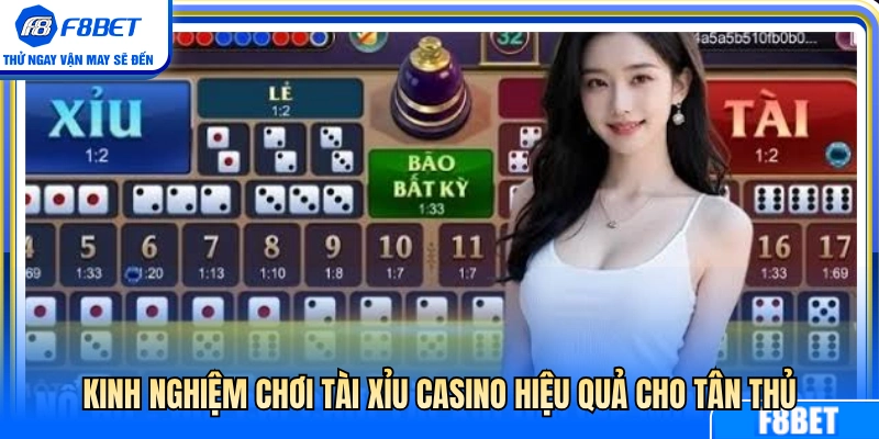 Mẹo đánh tài xỉu sòng bài bất bại cho người mới 